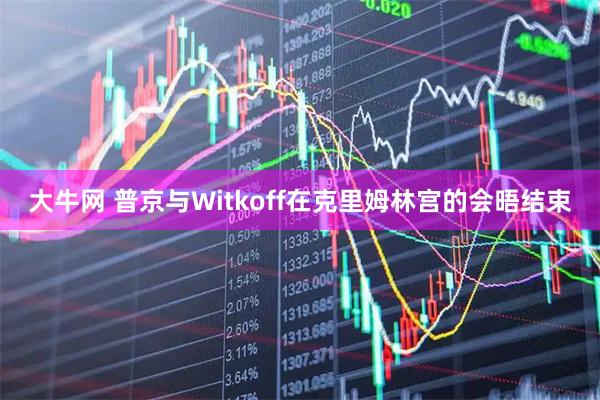 大牛网 普京与Witkoff在克里姆林宫的会晤结束