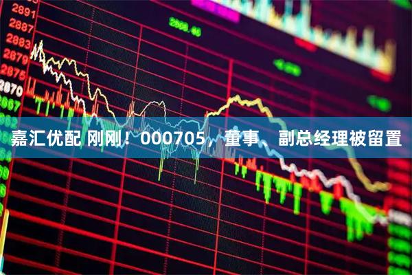 嘉汇优配 刚刚！000705，董事、副总经理被留置