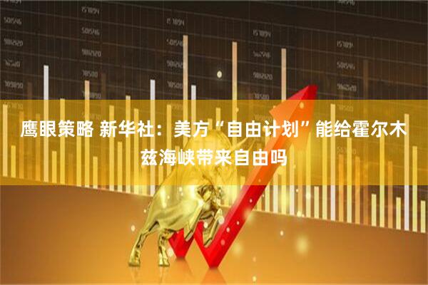 鹰眼策略 新华社：美方“自由计划”能给霍尔木兹海峡带来自由吗