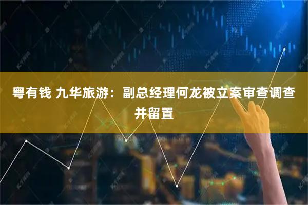 粤有钱 九华旅游：副总经理何龙被立案审查调查并留置