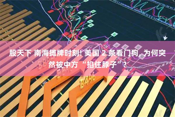 股天下 南海摊牌时刻! 美国 2 条看门狗, 为何突然被中方 “掐住脖子”?